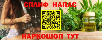 apvp Камышлов
