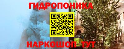 apvp Канаш