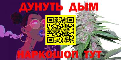apvp Канаш