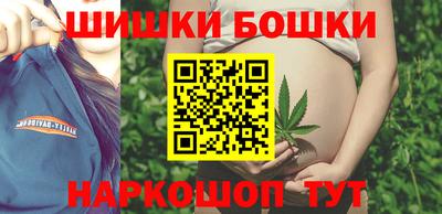 apvp Камышлов