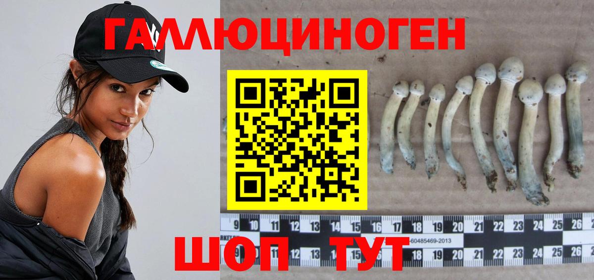 Псилоцибиновые грибы Psilocybe  Псилоцибиновые грибы мицелий  Вход с VPN  Киров 