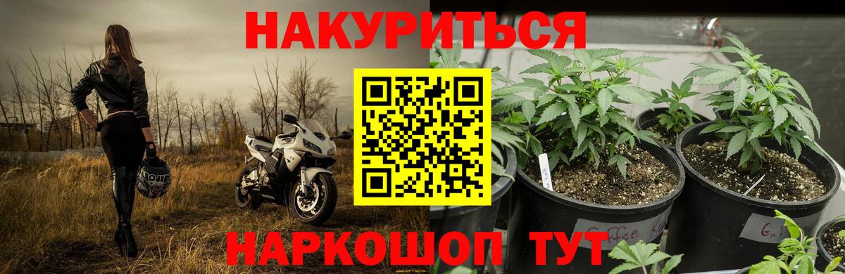Шишки марихуана индика Киров